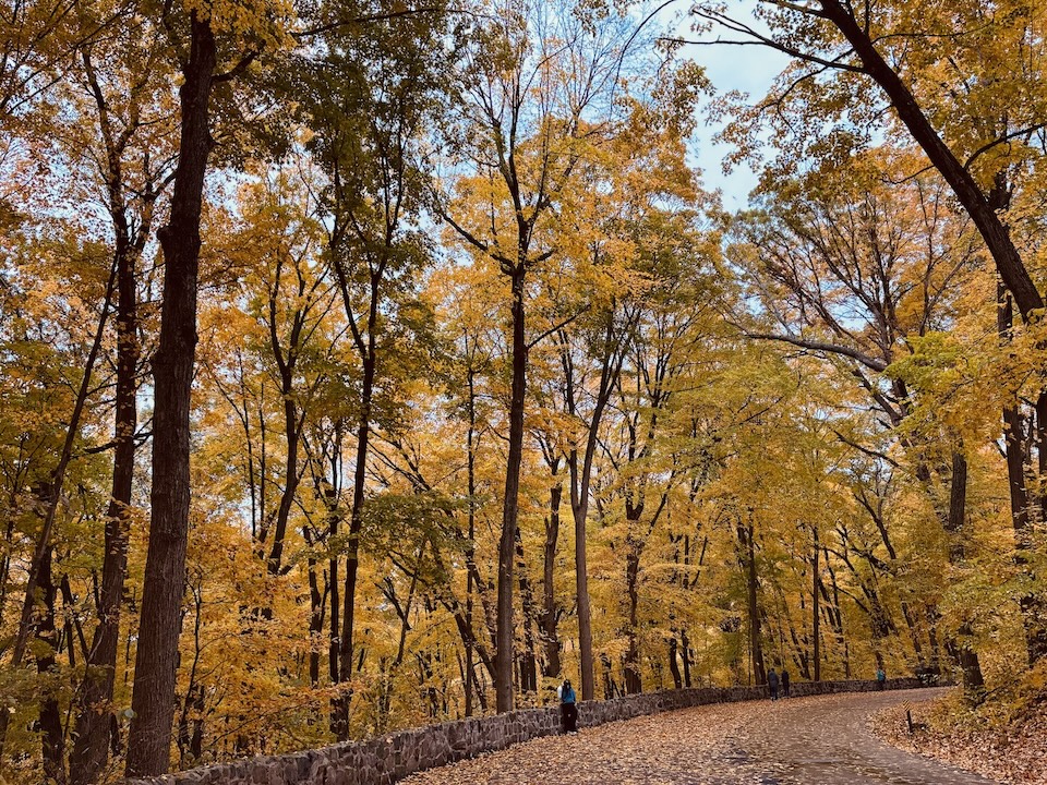 🍁 Birthday Trip to Devil’s Lake